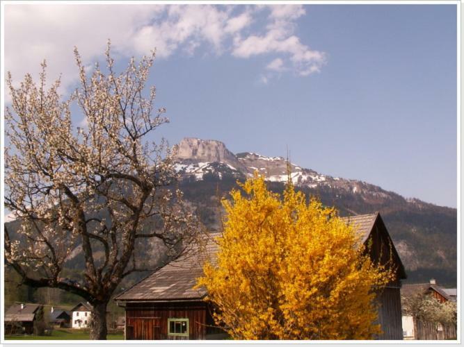 Ferienwohnung Haus Einhirn Altaussee Exteriér fotografie