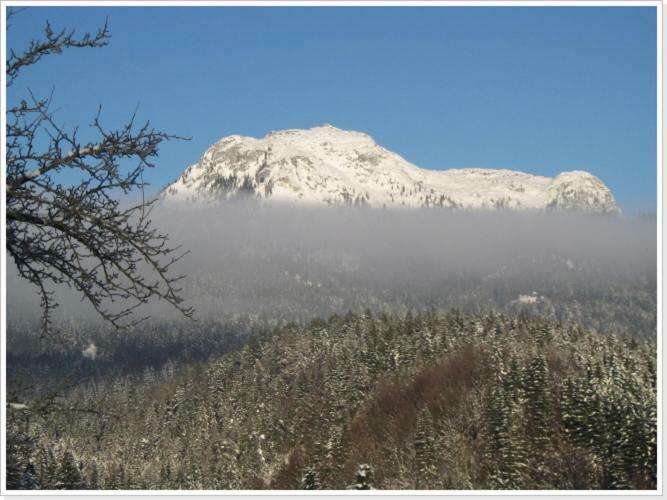 Ferienwohnung Haus Einhirn Altaussee Exteriér fotografie